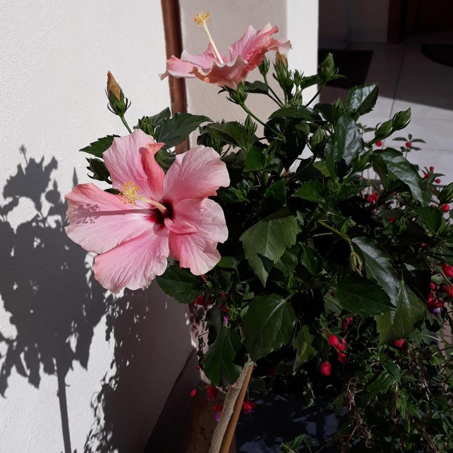 Apartment Le Balcon