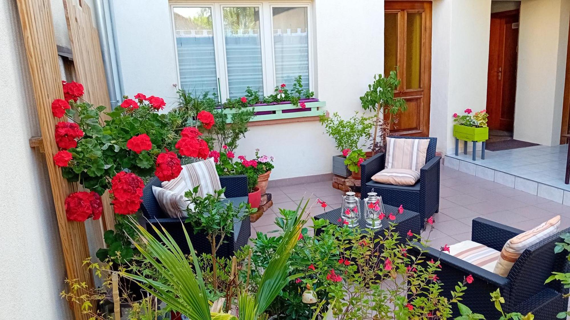 Le Balcon Apartamento Sélestat